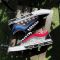 Vans Old Skool (Korean Typography) Racing Red/True Blue