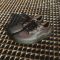 Vans Wayvee (Justin Henry) Coffebean