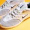 Nike SB Vertebrae Platinum Tint