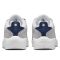 Nike SB Vertebrae Platinum Tint