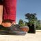 Vans Authentic Black/Black