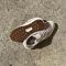 Vans Ultrarange 2.0 RW Mushroom Brown