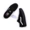 Vans Skate Rowan Black/Black
